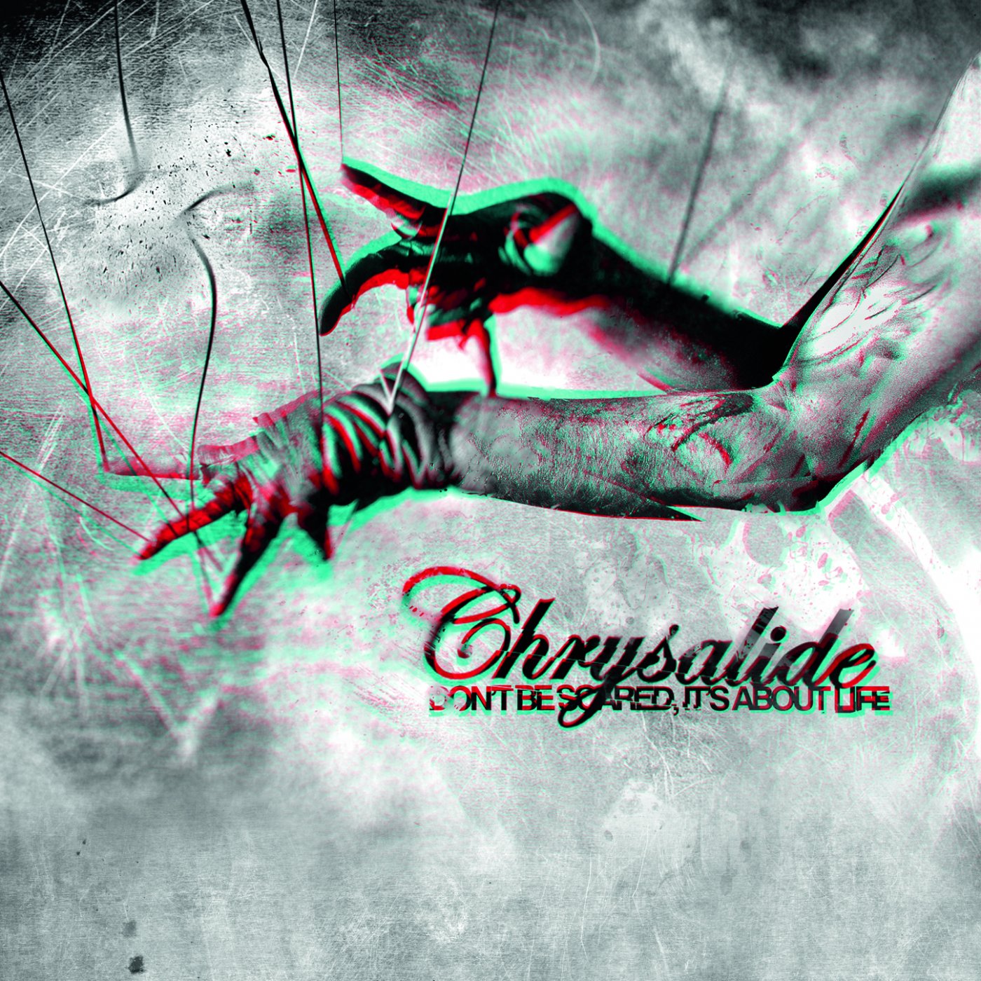 Chrysalide – Don’t be scared, its about life